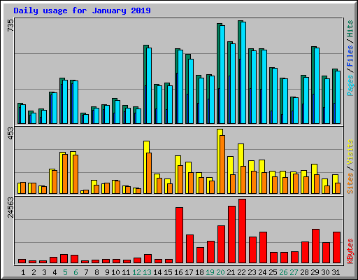 Daily usage for January 2019