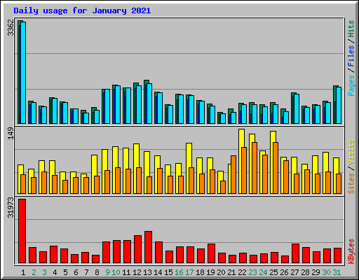 Daily usage for January 2021