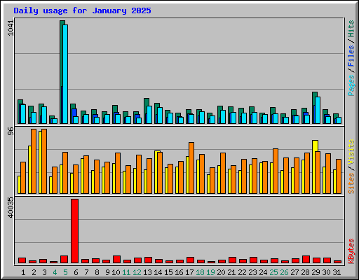 Daily usage for January 2025