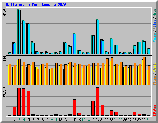 Daily usage for January 2026