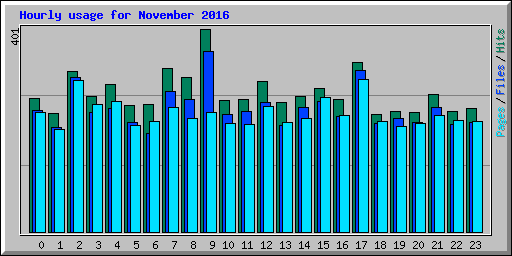 Hourly usage for November 2016