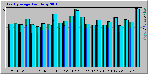 Hourly usage for July 2018