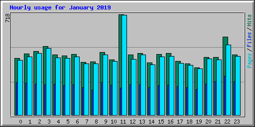 Hourly usage for January 2019