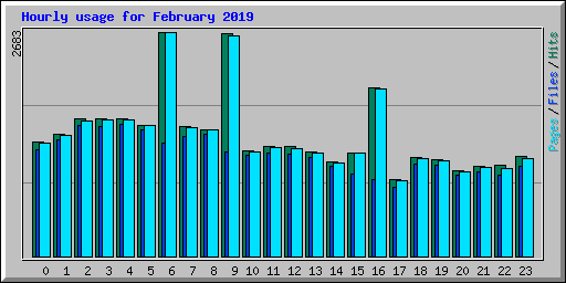 Hourly usage for February 2019