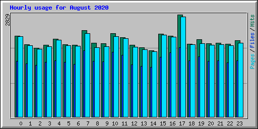 Hourly usage for August 2020