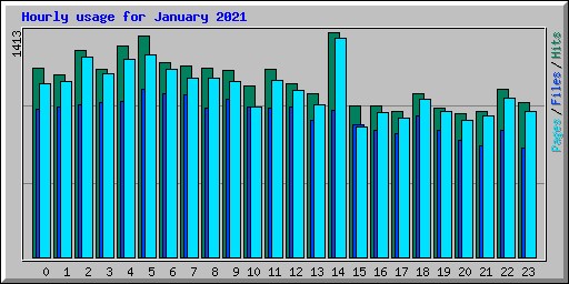 Hourly usage for January 2021