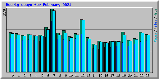 Hourly usage for February 2021