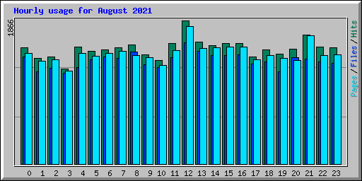 Hourly usage for August 2021