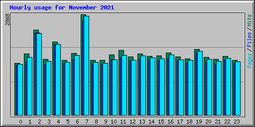 Hourly usage for November 2021