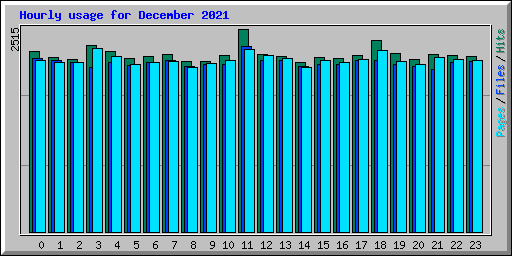 Hourly usage for December 2021