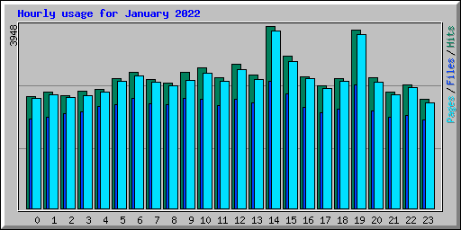 Hourly usage for January 2022