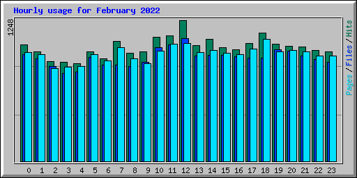 Hourly usage for February 2022