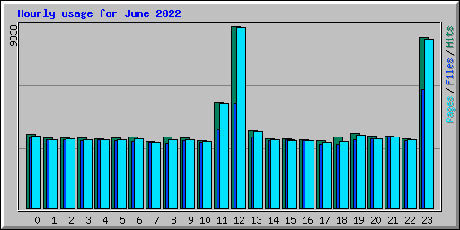 Hourly usage for June 2022