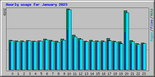 Hourly usage for January 2023