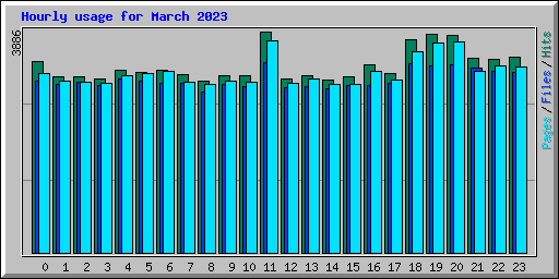 Hourly usage for March 2023