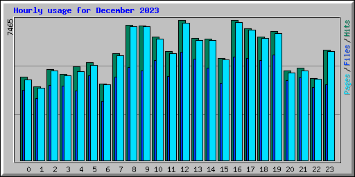 Hourly usage for December 2023
