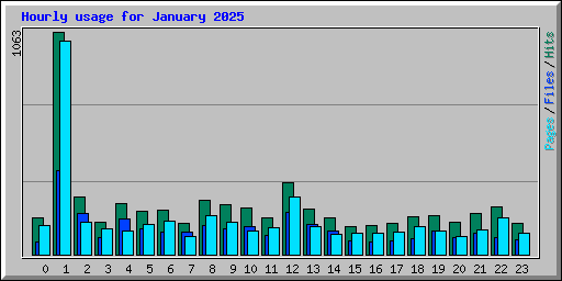 Hourly usage for January 2025