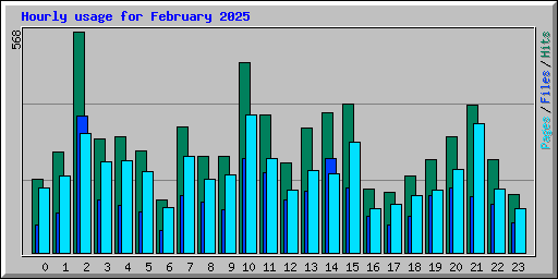 Hourly usage for February 2025