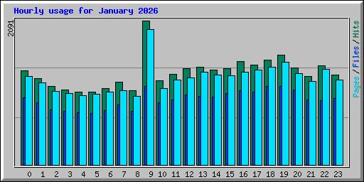 Hourly usage for January 2026