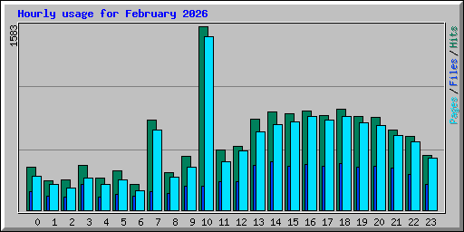 Hourly usage for February 2026